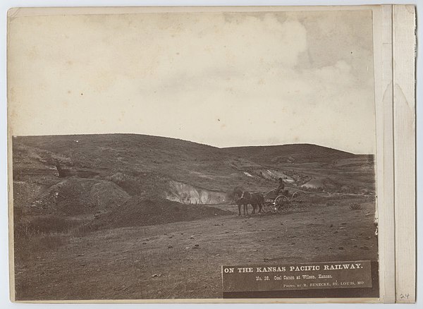 Lignite coal seam and mine, Wilson, Kansas, 1873