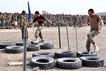 Quick responses to obstacles Obstacle Course 2 (6452150563).jpg