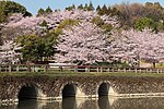 東浦町のサムネイル