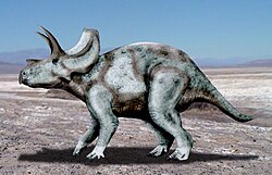 Ojoceratops NT.jpg