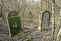 OldJewishCemetery-Liebeschitz-07.jpg