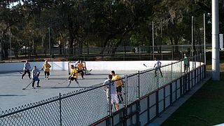 <span class="mw-page-title-main">Street hockey</span> Variant of other hockey sports