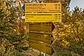 * Nomination Fingerposts at the avalanche forest track #8 and the Kaiser Arnulf track in Winklern, Pörtschach, Carinthia, Austria -- Johann Jaritz 03:54, 20 November 2020 (UTC) * Promotion  Support Good quality. --XRay 04:51, 20 November 2020 (UTC)