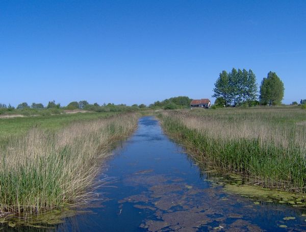 Пол реки 3 буквы. Плутница.