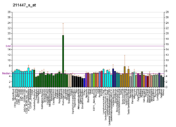 PBB GE PDE4A 211447 s at fs.png