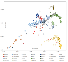 Principal component analysis of various populations, including the Middle East PCA results of Arabian and other populations.png