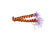 PDB 1urf EBI.jpg