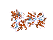 2gwo: crystal structure of TMDP