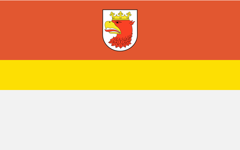 File:POL Police flag.svg