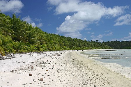 Tập tin:PalmyraNorthBeach.jpg