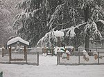 Thumbnail for File:Parco Solari Playground Snow1.jpg