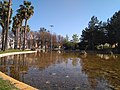 wikimedia_commons=File:Parque La Plata Jerez - IMG 20180426 183324 478.jpg