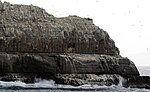 Thumbnail for Pedra Branca (Tasmania)