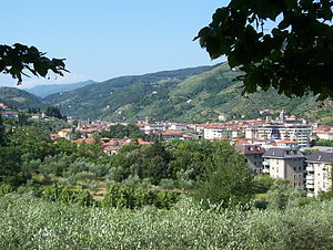 Pescia view hill.jpg