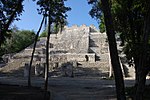 Petén Campechano, Calakmul, Campeche (22173289436).jpg