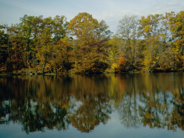 Maurice K Goddard State Park - Wikipedia