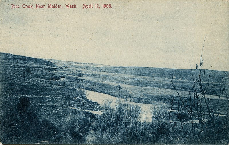 File:Pine Creek, April 12, 1908 - Malden, Washington (19861380424).jpg