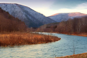 Pine Creek Пенсильвания Bend.jpg