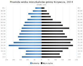Piramida wieku Gmina Krzywcza.png