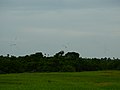 Thumbnail for File:Pollupalai and Vallimunai Wind Farms (1).jpg