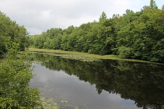 <span class="mw-page-title-main">Woodcock Nature Center</span>