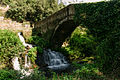 Ponte fra le forre di Corchiano.jpg