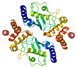 Protein HIP2 PDB 1yla.png