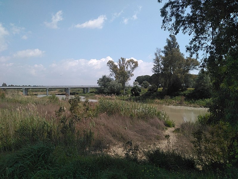 File:Puente sobre el Guadalete - IMG 20210404 153845 755.jpg