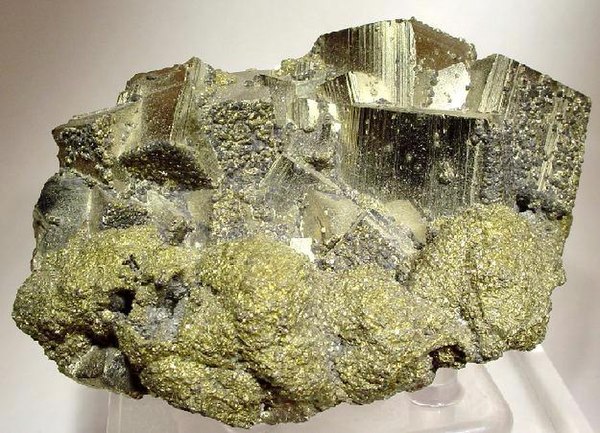 Brass-yellow chalcopyrite crystals below large striated pyrite cubes