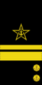 Rusijos Federacijos kontradmirolo rankovės antsiuvai