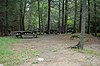 Dos mesas de picnic, un banco y una pasarela de madera en un bosque