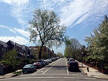 A residential street in Astoria with bike lanes ResidentialAstoria1.JPG