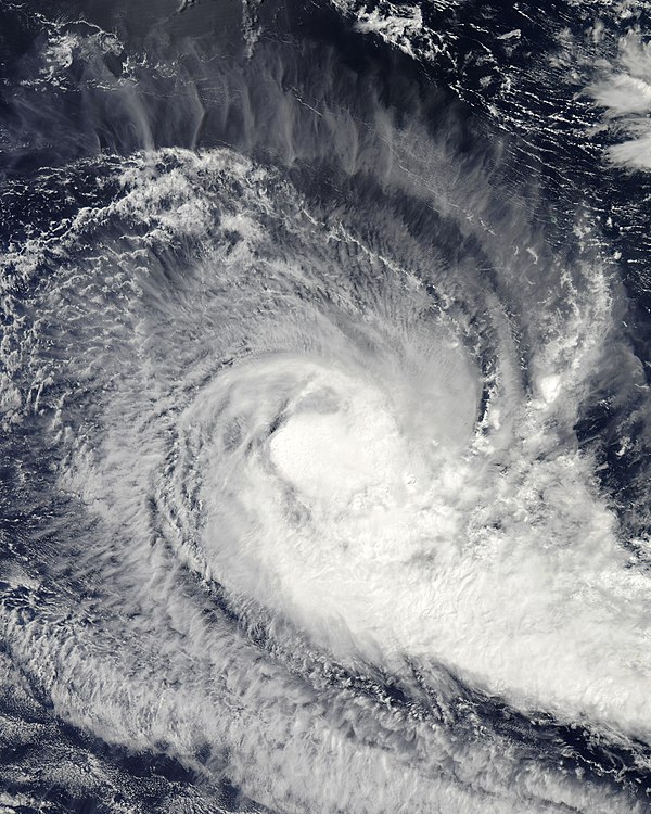 Cyclone Robyn
