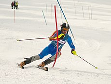Roger Vidosa FIS-Slalom Hinterstoder 2010.jpg