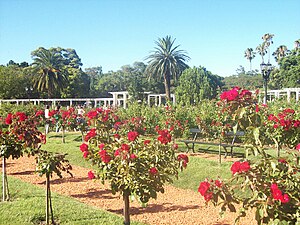 Parque Urbano: Parque que se encuentra en una región urbana