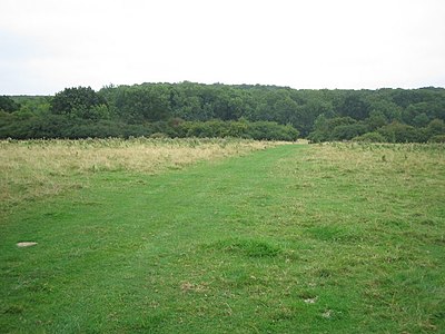 Kings Wood and Glebe Meadows, Houghton Conquest