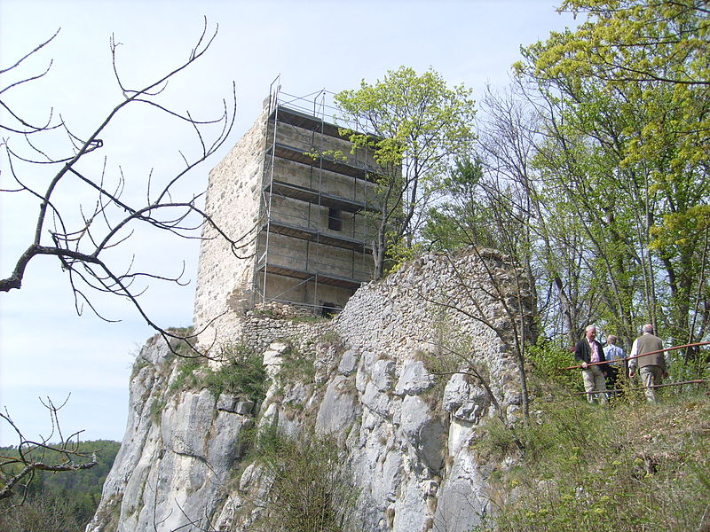 File:Ruine Dietfurt Bergfried und Reste der Umfassungsmauer.JPG