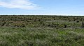 Ruts and swales on private land near the Cimarron National Grassland -3 (1e8bf355c23f44ea8915aca8428df745).JPG