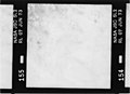 Kodak B&W infrared film with 700-800 nm bandpass filter