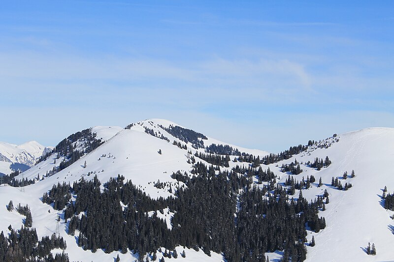 File:Saanenmöser - Plani - Rellerli - panoramio (57).jpg