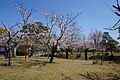 2018年5月16日 (水) 10:10時点における版のサムネイル