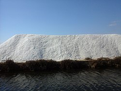 Trapani, sale delle saline