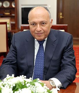 Sameh Shoukry Egyptian diplomat & Ambassador