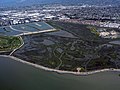 Wetlands on San Francisco Bay