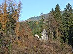 Schwarzenhorn ruins