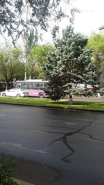 File:Sayat Nova Avenue, Yerevan 12.jpg