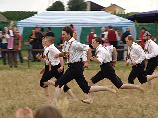 Schaeferlauf 2006 Markgröningen