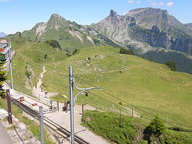 Schynige Platte.jpg 