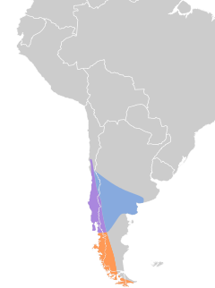 Carte de répartition de l'espèce .mw-parser-output .legende-bloc-centre{display:table;margin:0 auto;text-align:left}.mw-parser-output .legende-bloc ul li{font-size:90%}.mw-parser-output .legende-bloc-vertical ul li{list-style:none;margin:1px 0 0 -1.5em}.mw-parser-output .legende-bloc-vertical ul li li{list-style:none;margin:1px 0 0 -1.0em}Zone de nidification et d'hivernageZone d'hivernage