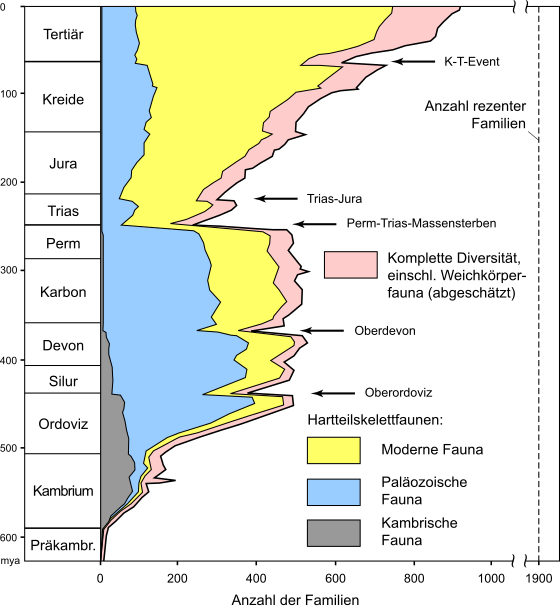 560px-Sepkoski_diversity_chart_DE.svg.png